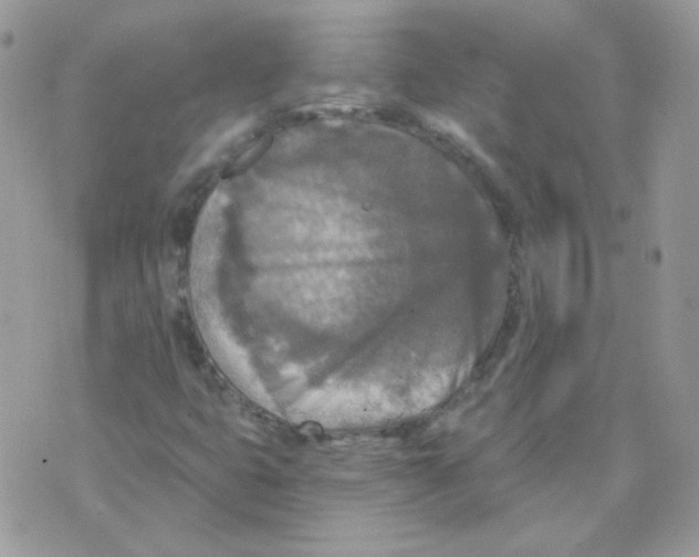 X0000071331399200607211955