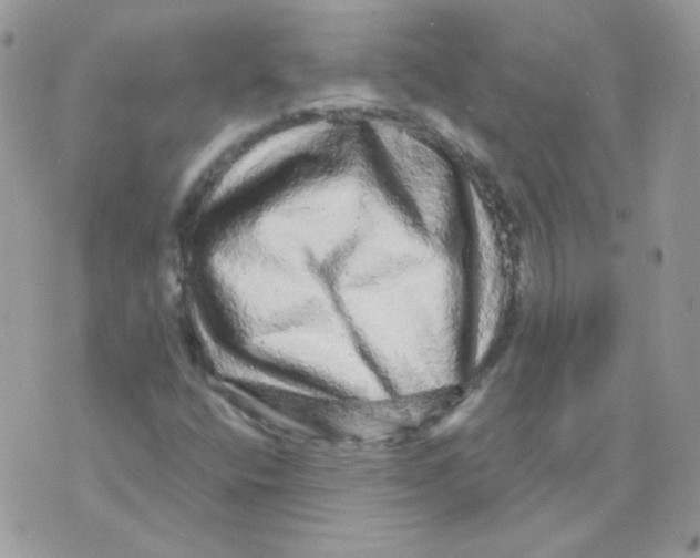 X0000071331400200607211955