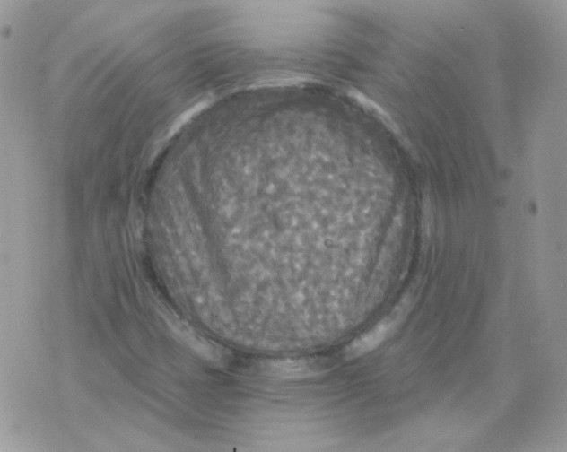 X0000071331401200607211955