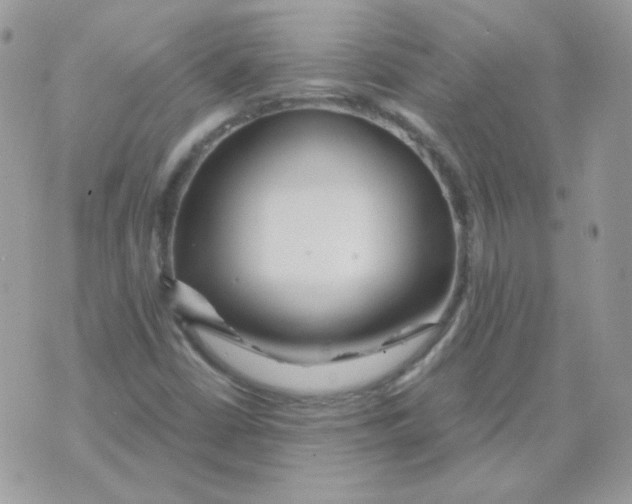 X0000071331402200607211955