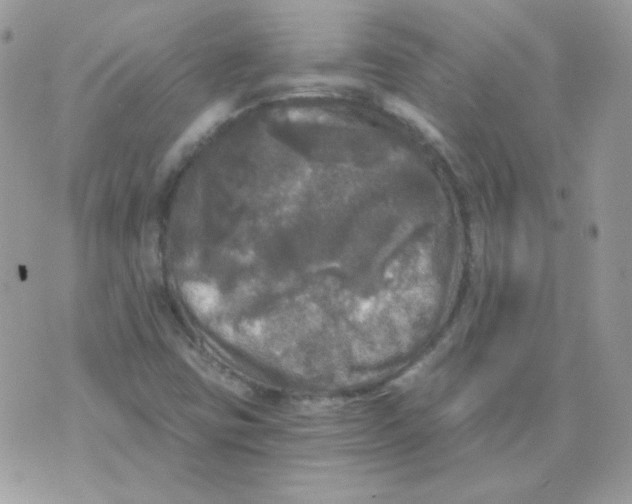 X0000071331403200607211955