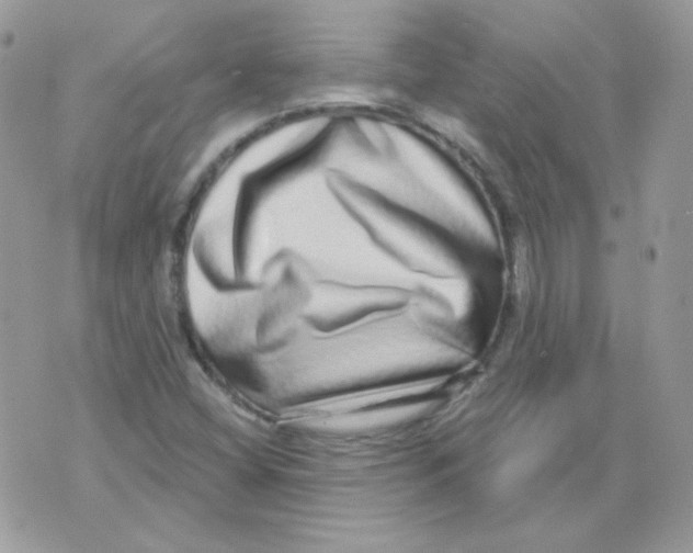 X0000071331404200607211955