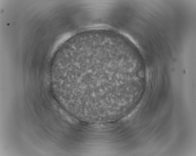 X0000071331405200607211955