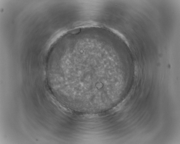 X0000071331407200607211955