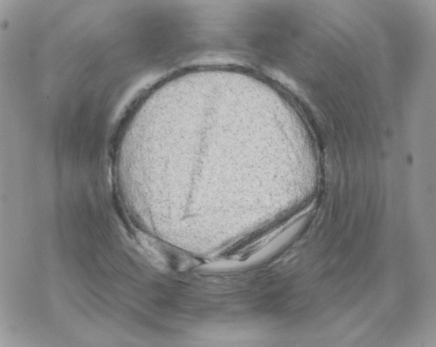 X0000071331408200607211955