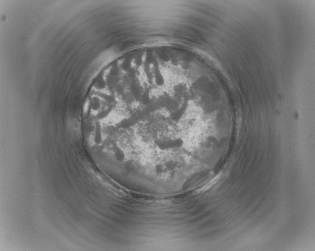 X0000071331409200607211955