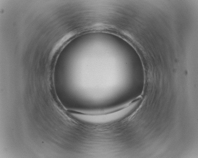 X0000071331410200607211955