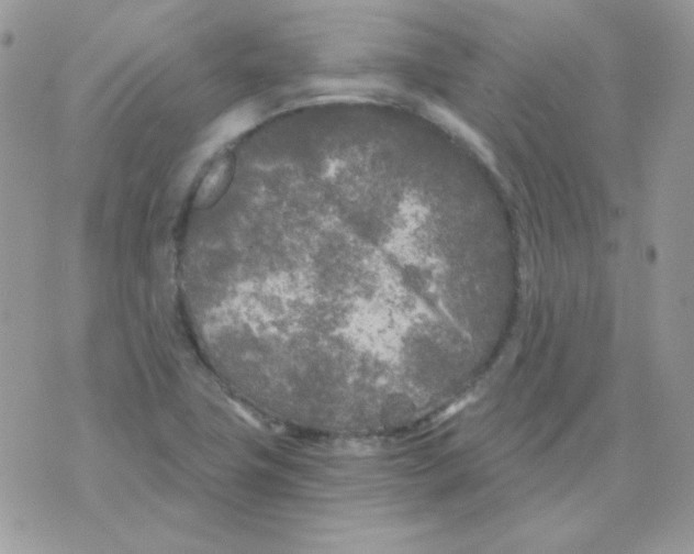 X0000071331411200607211955