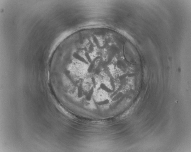 X0000071331413200607211955