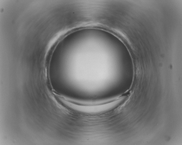 X0000071331414200607211955