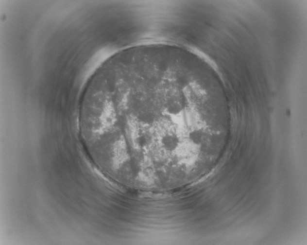 X0000071331415200607211956