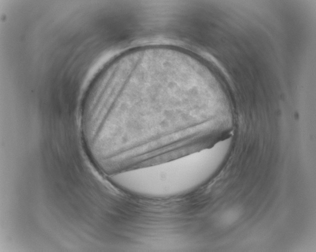 X0000071331416200607211956