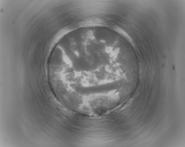 X0000071331419200607211956