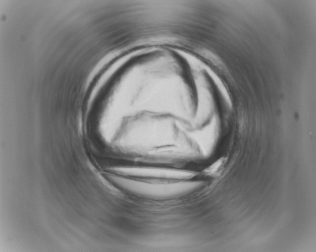 X0000071331420200607211956