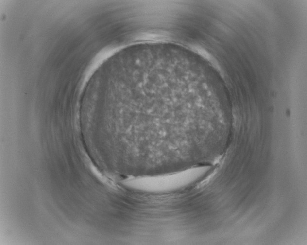 X0000071331421200607211956