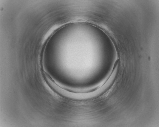 X0000071331422200607211956