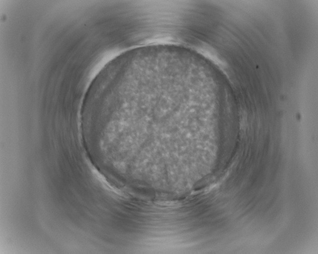 X0000071331423200607211956