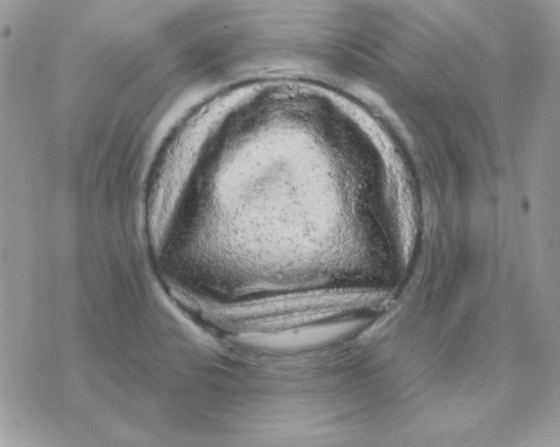 X0000071331424200607211956