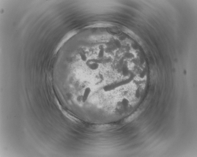 X0000071331425200607211956