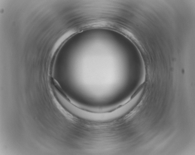 X0000071331426200607211956