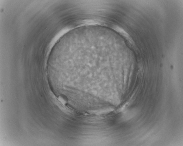 X0000071331427200607211956