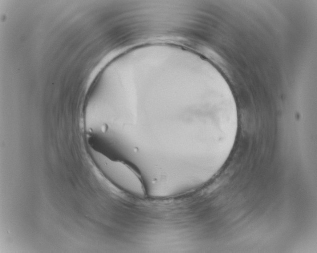 X0000071331428200607211956