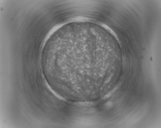 X0000071331429200607211956