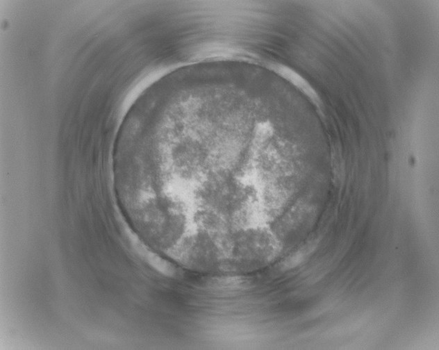 X0000071331431200607211956