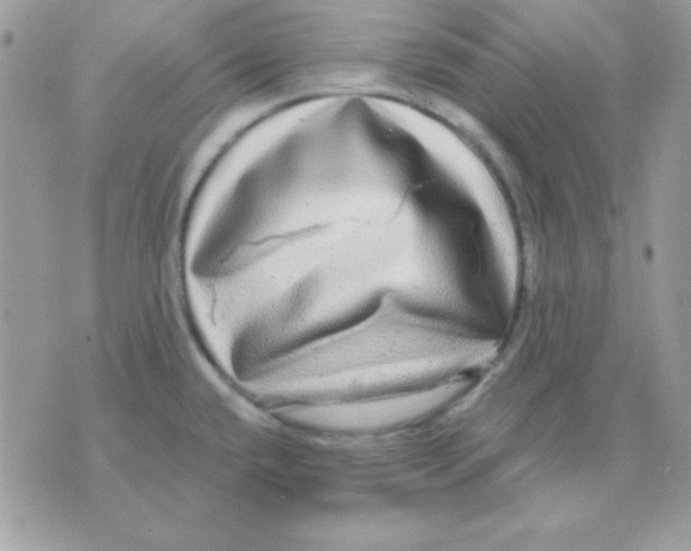 X0000071331432200607211956