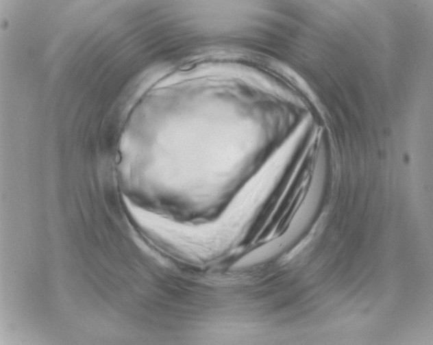 X0000071331433200607211956