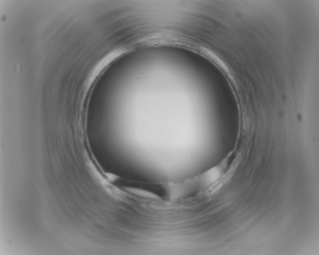 X0000071331434200607211956