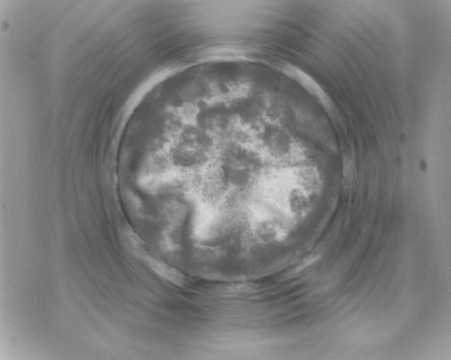 X0000071331435200607211956