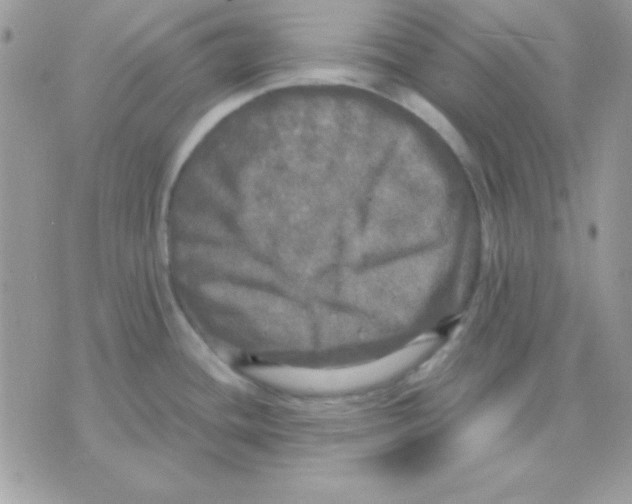 X0000071331436200607211956