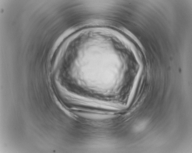 X0000071331437200607211956