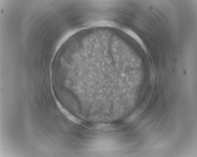 X0000071331439200607211956