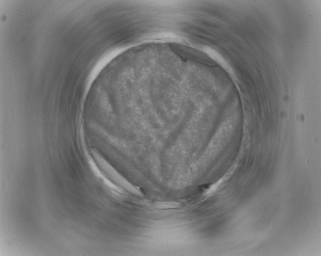 X0000071331440200607211956