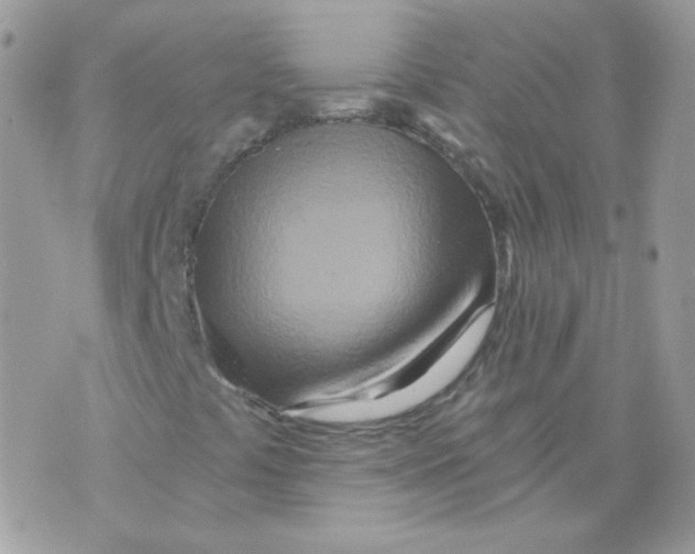 X0000071331441200607211955