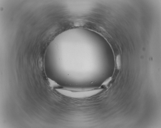 X0000071331443200607211955