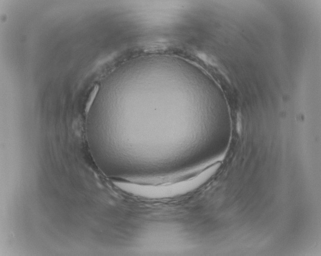 X0000071331445200607211955