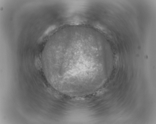 X0000071331446200607211955