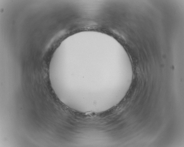 X0000071331447200607211955