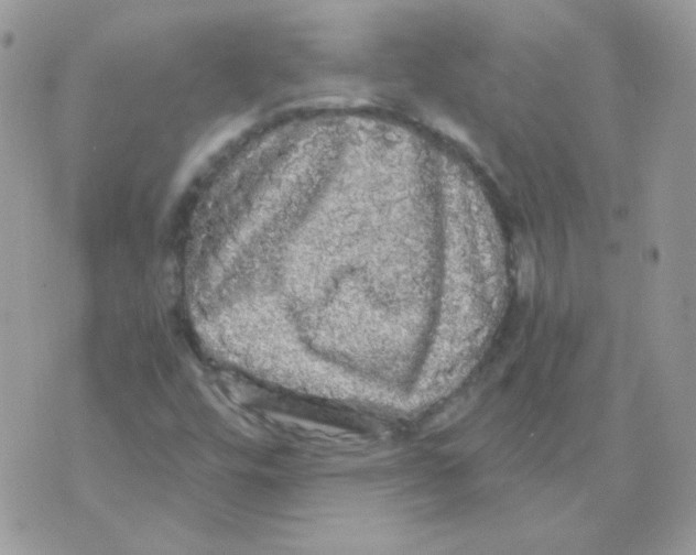 X0000071331448200607211955