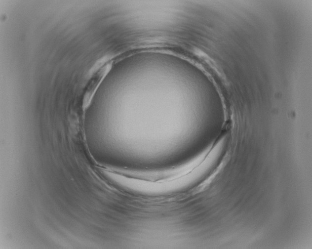 X0000071331449200607211955