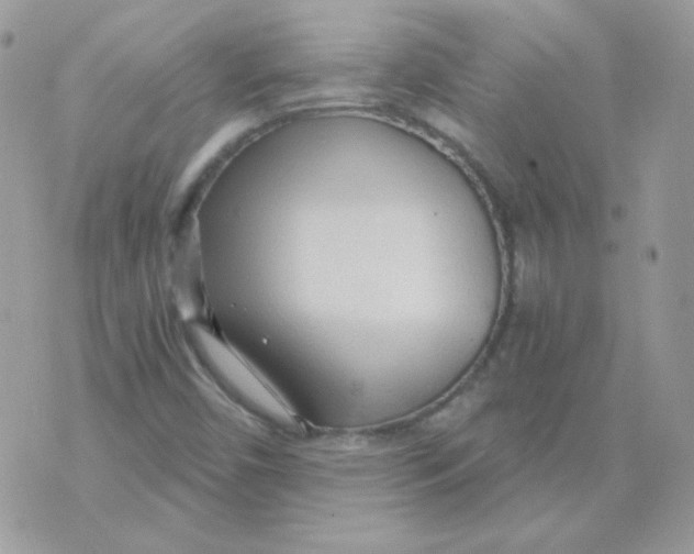 X0000071331450200607211955