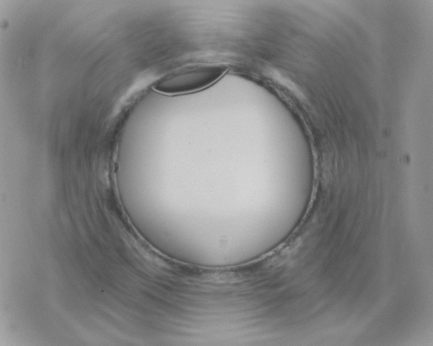 X0000071331451200607211955