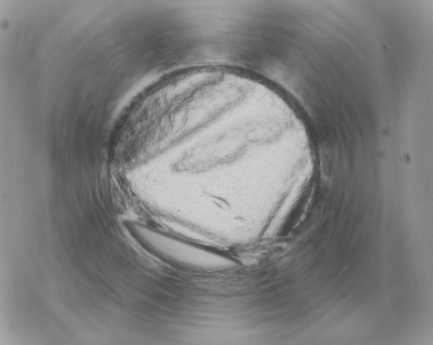 X0000071331452200607211955