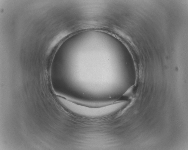 X0000071331453200607211955