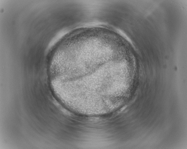 X0000071331456200607211955