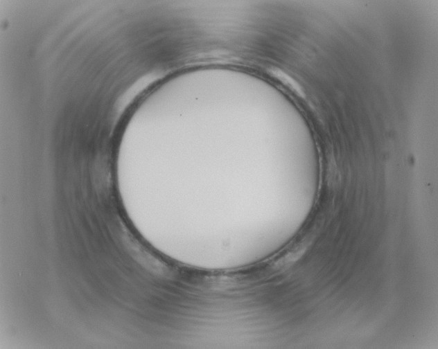 X0000071331458200607211955