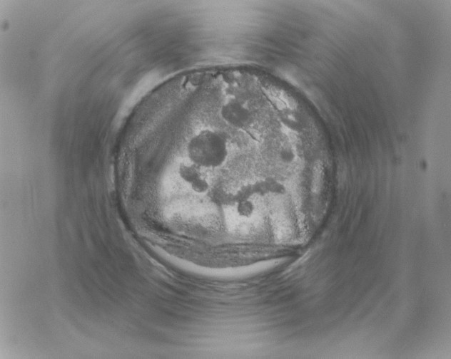 X0000071331459200607211955